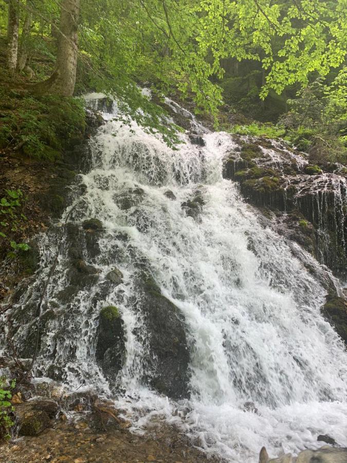 فيلا Chalet Karin هوشفيلزن المظهر الخارجي الصورة