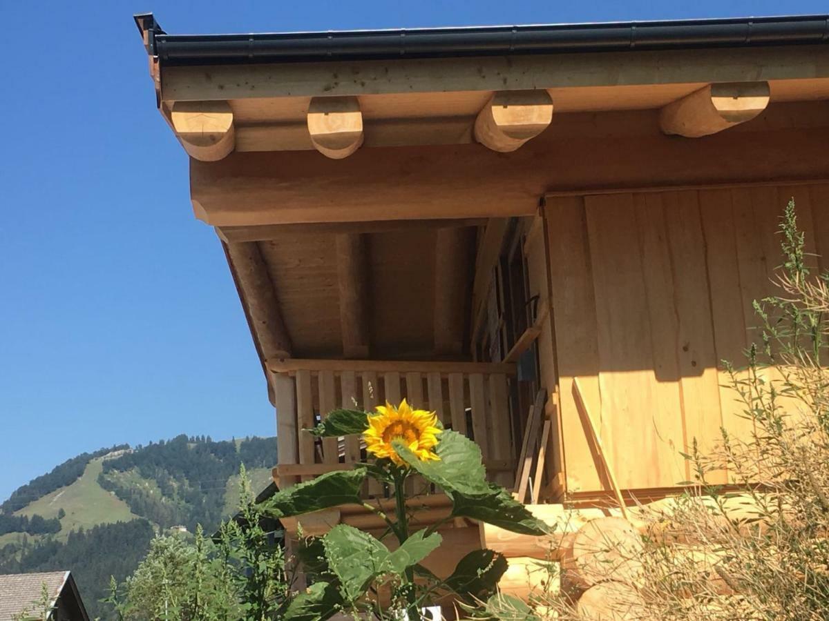Chalet Karin هوشفيلزن المظهر الخارجي الصورة