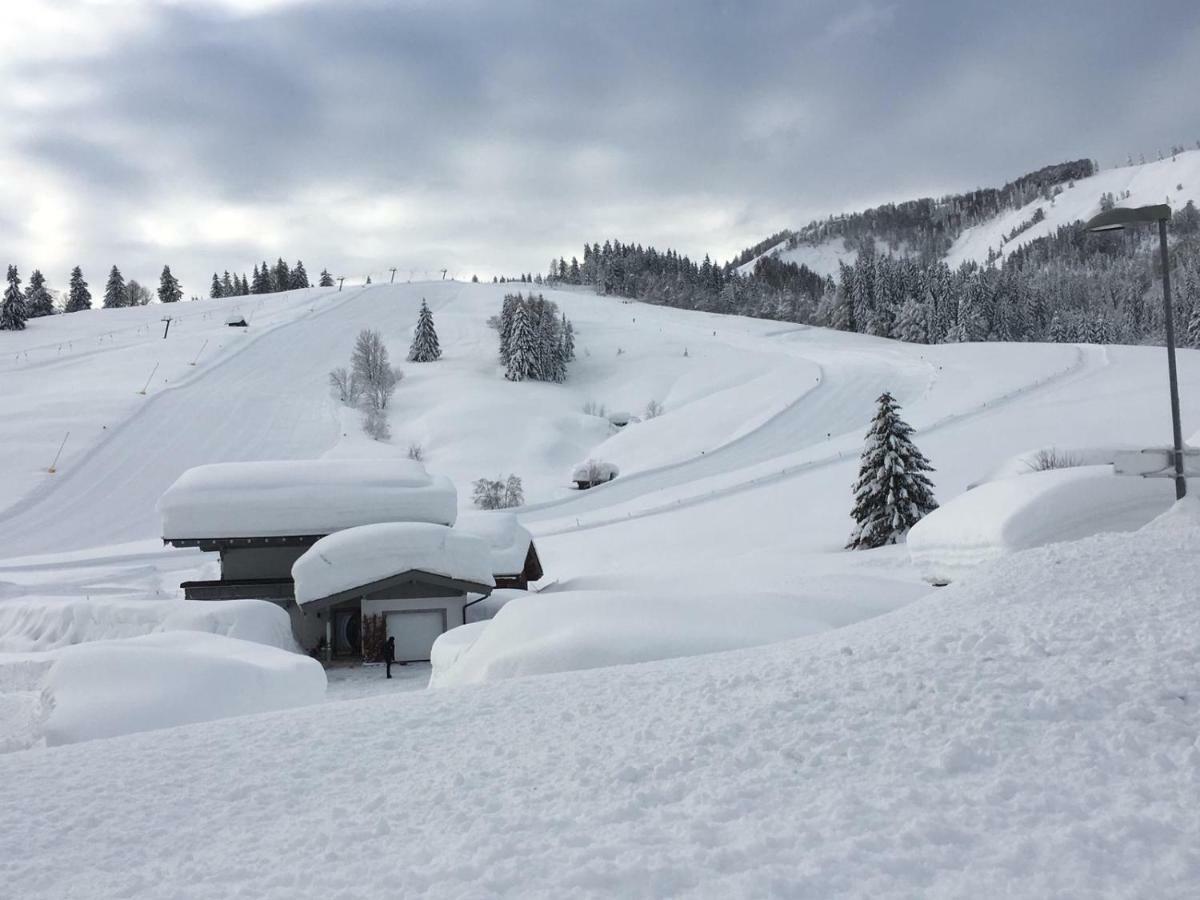 Chalet Karin هوشفيلزن المظهر الخارجي الصورة
